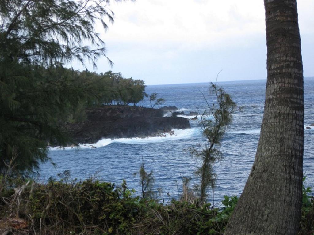 Coconut Palms Vacation Rental Near Lava Fields And Beaches Kehena Exterior photo