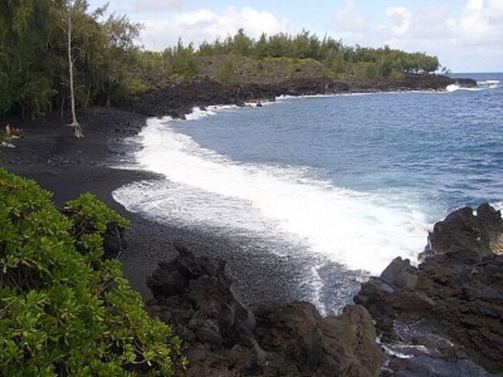 Coconut Palms Vacation Rental Near Lava Fields And Beaches Kehena Exterior photo