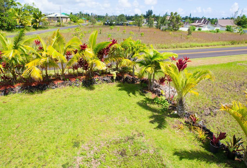 Coconut Palms Vacation Rental Near Lava Fields And Beaches Kehena Exterior photo