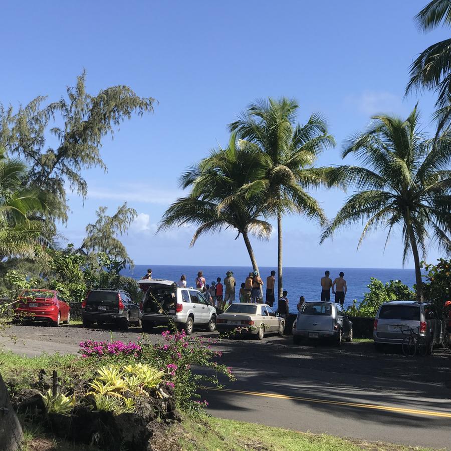 Coconut Palms Vacation Rental Near Lava Fields And Beaches Kehena Exterior photo