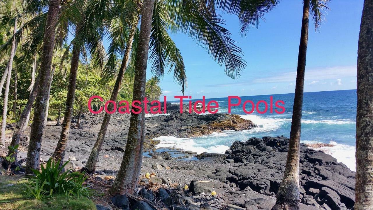 Coconut Palms Vacation Rental Near Lava Fields And Beaches Kehena Exterior photo